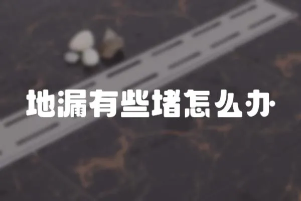 地漏有些堵怎么辦