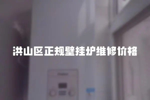 洪山區正規壁掛爐維修價格