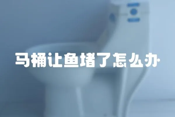 馬桶讓魚堵了怎么辦
