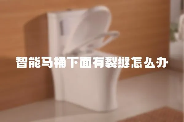 智能馬桶下面有裂縫怎么辦