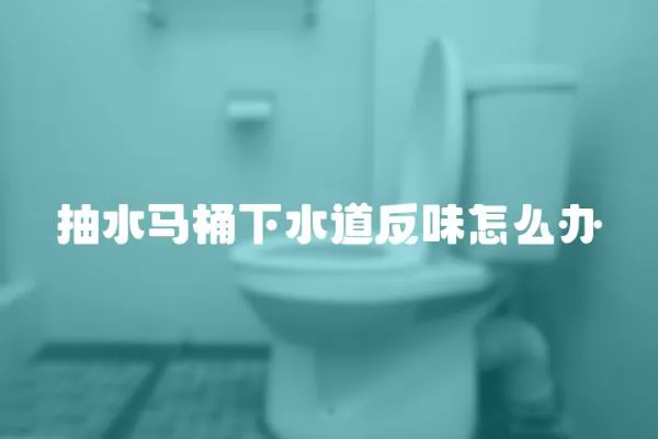 抽水馬桶下水道反味怎么辦