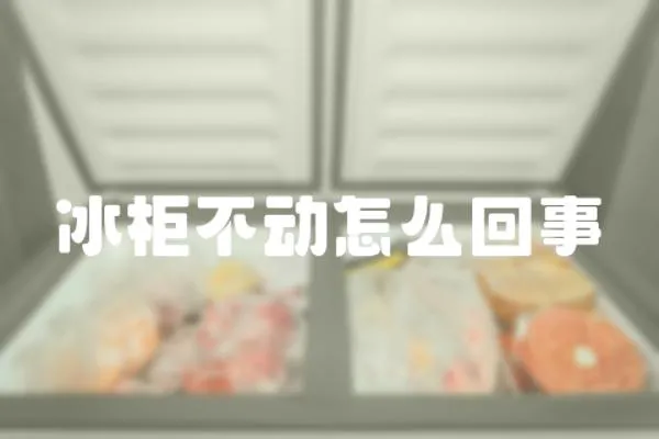 冰柜不動怎么回事