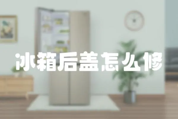 冰箱后盖怎么修