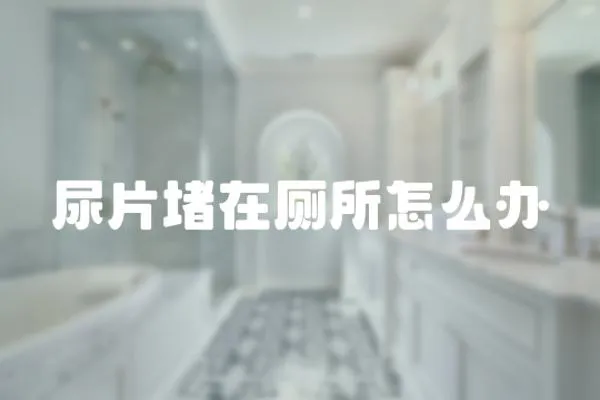 尿片堵在廁所怎么辦