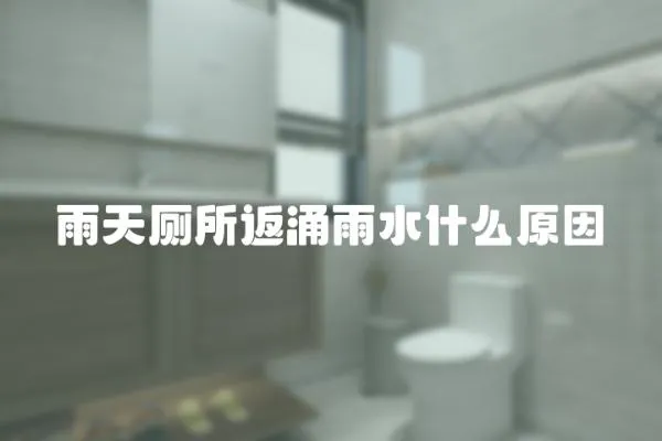 雨天廁所返涌雨水什么原因
