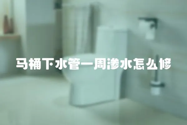 馬桶下水管一周滲水怎么修