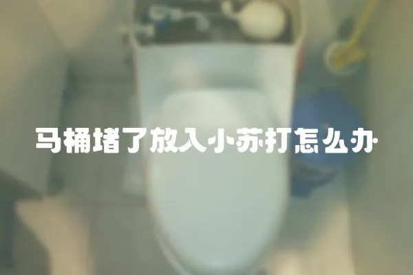 馬桶堵了放入小蘇打怎么辦