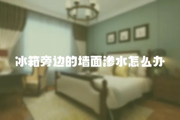 冰箱旁邊的墻面滲水怎么辦