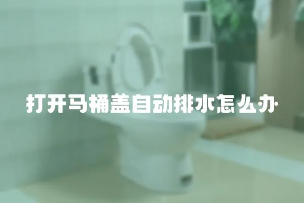 打開馬桶蓋自動排水怎么辦