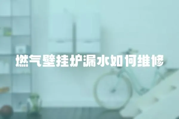 燃?xì)獗趻鞝t漏水如何維修