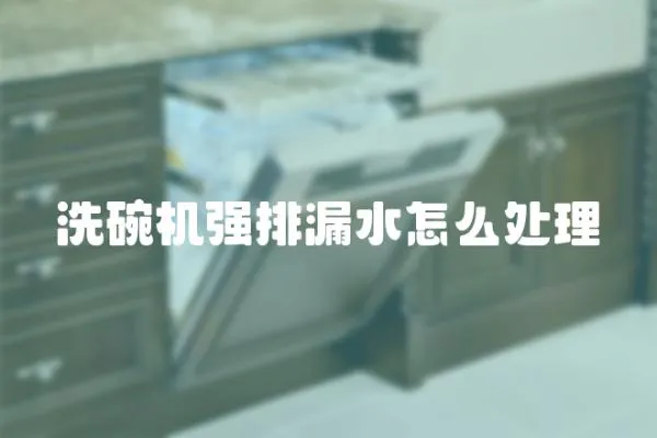 洗碗機強排漏水怎么處理