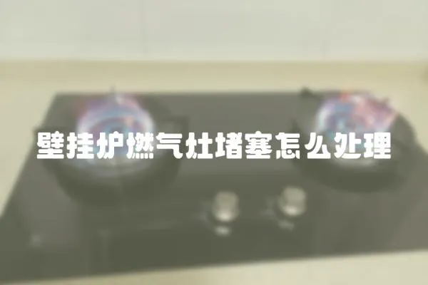 壁掛爐燃?xì)庠疃氯趺刺幚?></a></div>
                    <div   id=