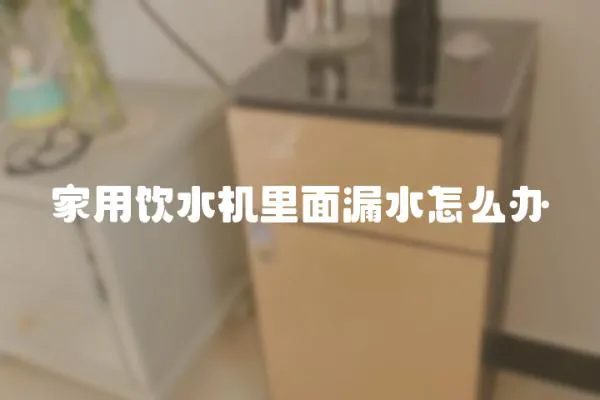 家用飲水機里面漏水怎么辦