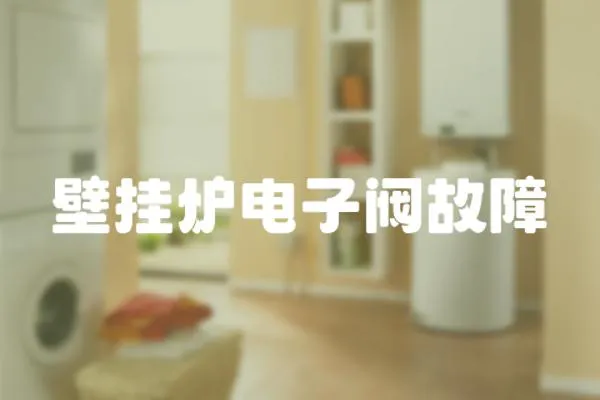 壁掛爐電子閥故障