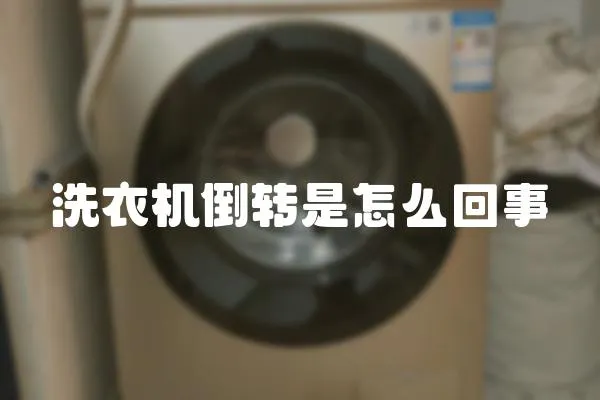 洗衣機倒轉是怎么回事