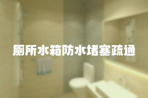 廁所水箱防水堵塞疏通