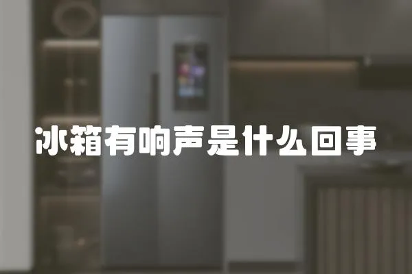 冰箱有响声是什么回事