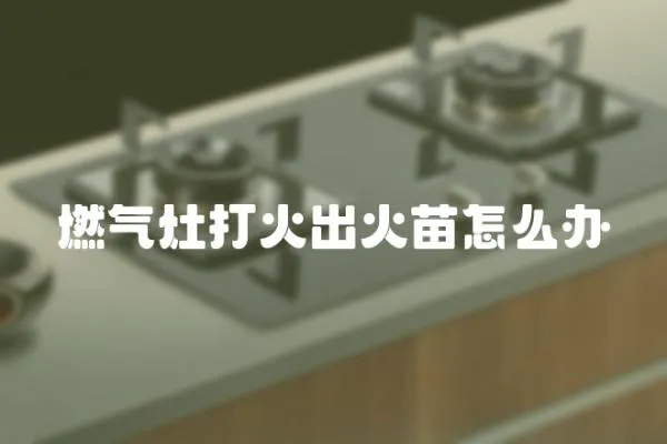 燃氣灶打火出火苗怎么辦
