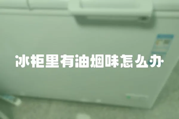 冰柜里有油煙味怎么辦