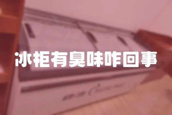 冰柜有臭味咋回事