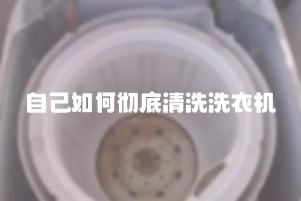 自己如何徹底清洗洗衣機