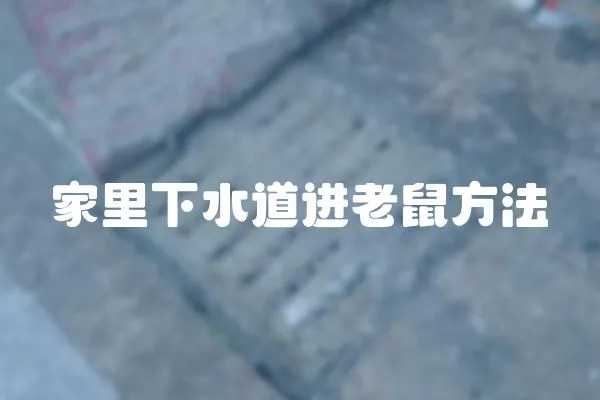 家里下水道進老鼠方法