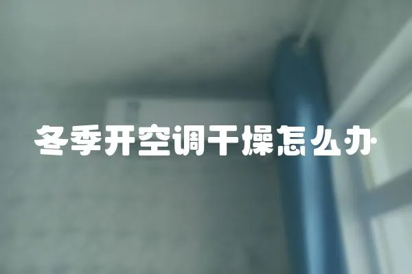 冬季開(kāi)空調(diào)干燥怎么辦