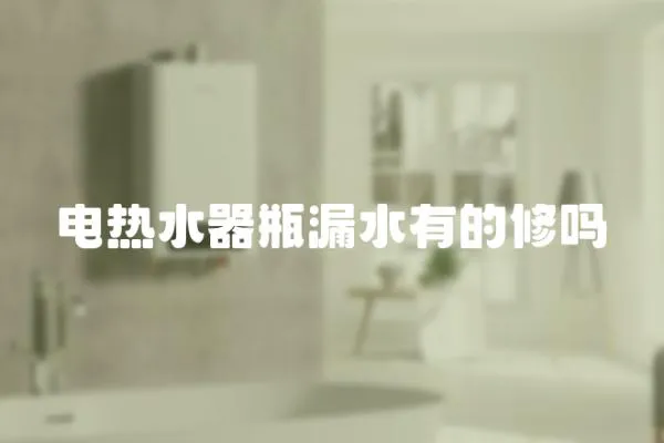 電熱水器瓶漏水有的修嗎