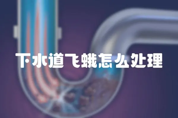 下水道飛蛾怎么處理