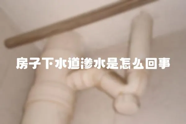 房子下水道滲水是怎么回事