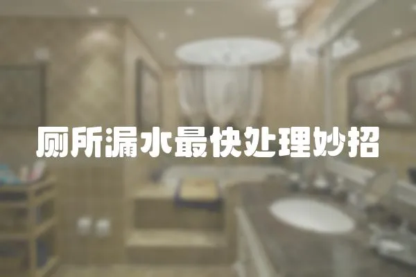 廁所漏水最快處理妙招