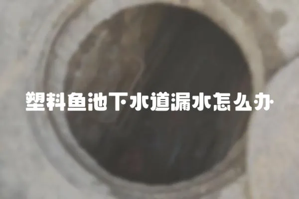 塑料鱼池下水道漏水怎么办