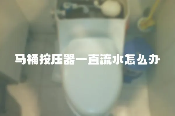 馬桶按壓器一直流水怎么辦