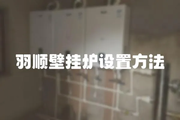 羽順壁掛爐設置方法