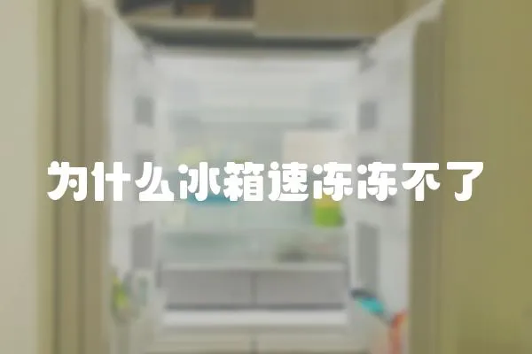 為什么冰箱速凍凍不了