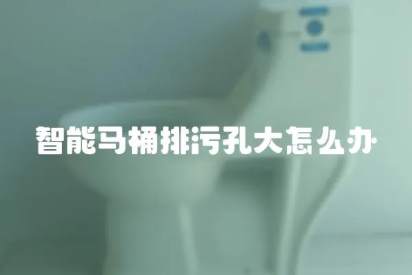 智能馬桶排污孔大怎么辦