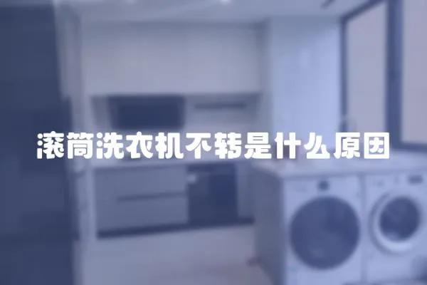 滾筒洗衣機不轉是什么原因
