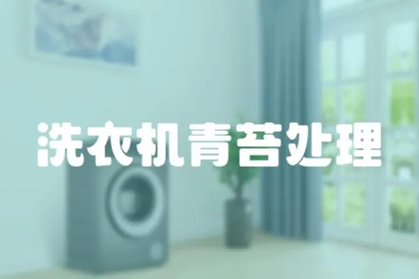 洗衣機青苔處理