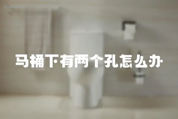 馬桶下有兩個(gè)孔怎么辦