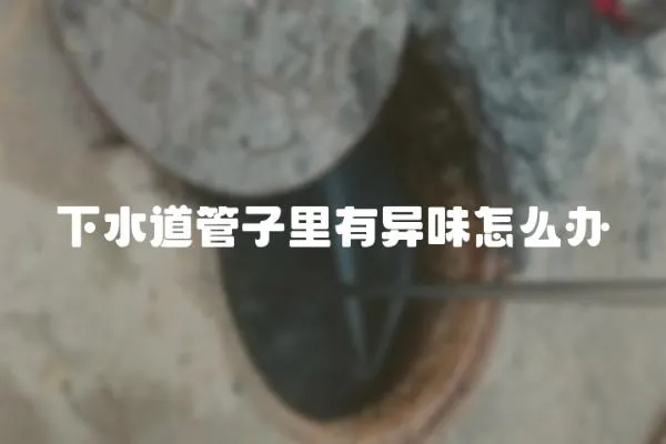 下水道管子里有異味怎么辦