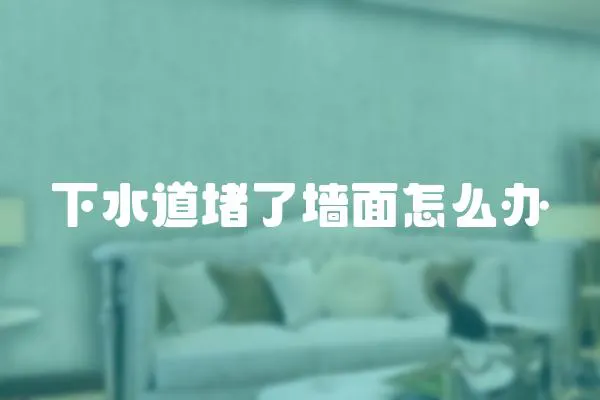 下水道堵了墻面怎么辦