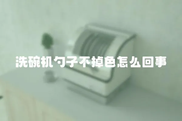 洗碗機(jī)勺子不掉色怎么回事