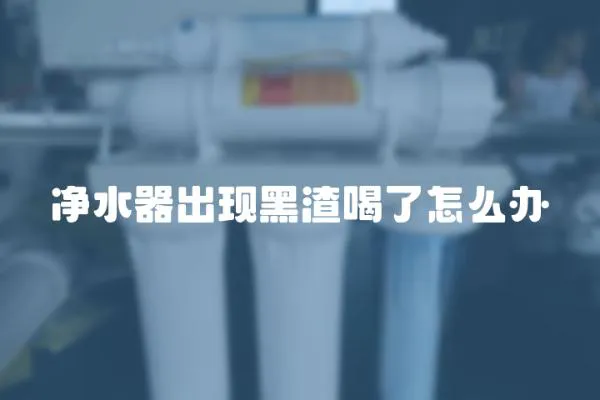 凈水器出現黑渣喝了怎么辦
