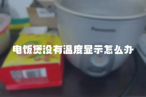 电饭煲没有温度显示怎么办