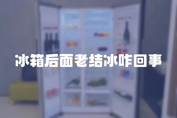 冰箱后面老結(jié)冰咋回事
