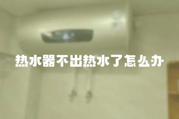 熱水器不出熱水了怎么辦
