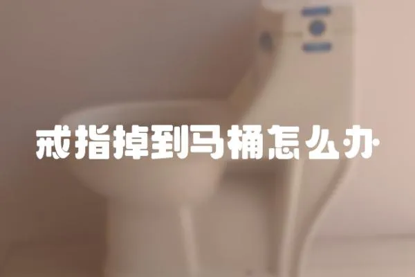 戒指掉到馬桶怎么辦