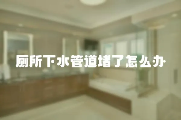 廁所下水管道堵了怎么辦