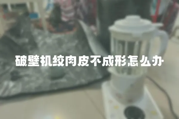 破壁機絞肉皮不成形怎么辦