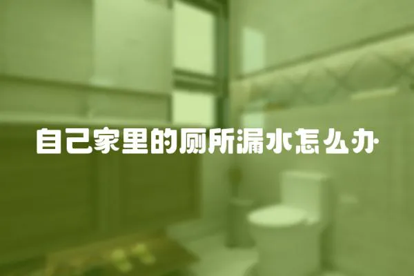 自己家里的廁所漏水怎么辦